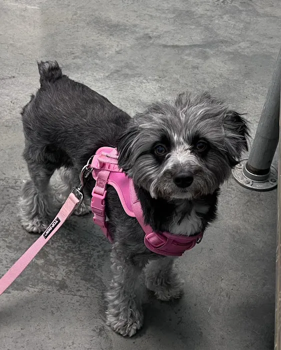 Kent Farms Animal Hospital Picture 6