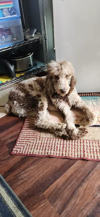 Kent Farms Animal Hospital Picture 7