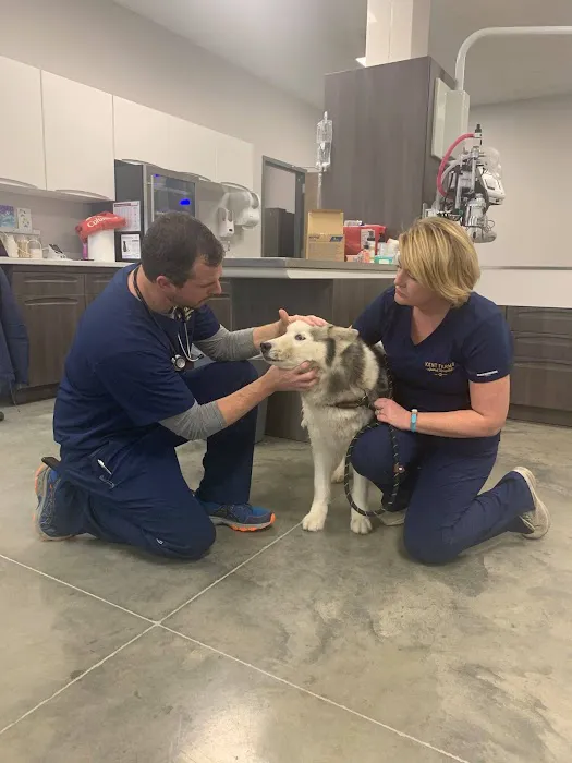 Kent Farms Animal Hospital Picture 10