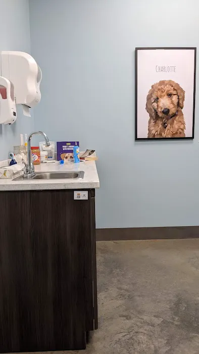 Kent Farms Animal Hospital Picture 8