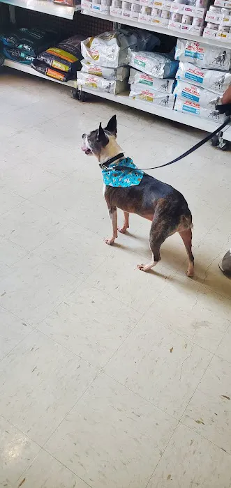 Shelby Animal Clinic Picture 7