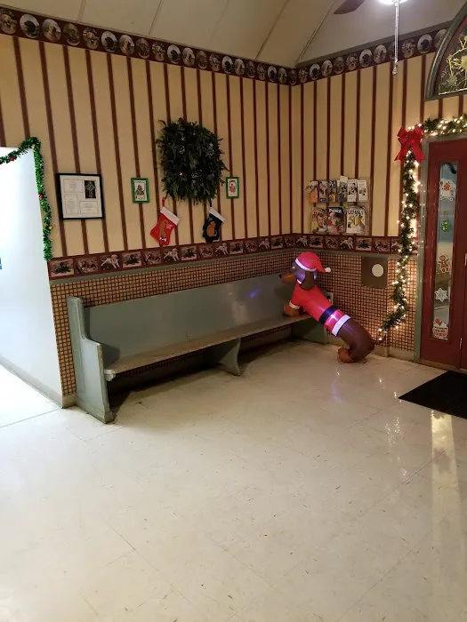 Shelby Animal Clinic Picture 4