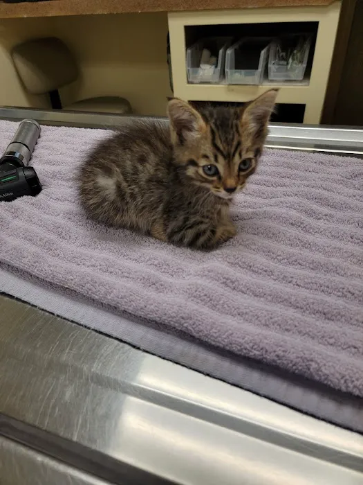 Alabaster Animal Clinic Picture 2