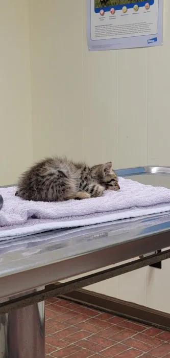 Alabaster Animal Clinic Picture 3