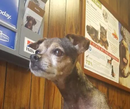 Alabaster Animal Clinic