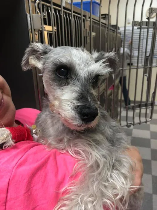 Helena Veterinary Clinic Picture 3