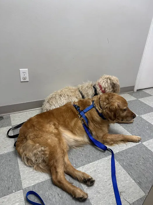 Helena Veterinary Clinic Picture 4