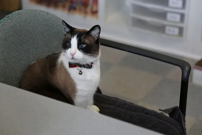 Helena Veterinary Clinic Picture 5