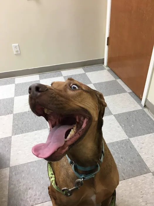 Helena Veterinary Clinic Picture 10