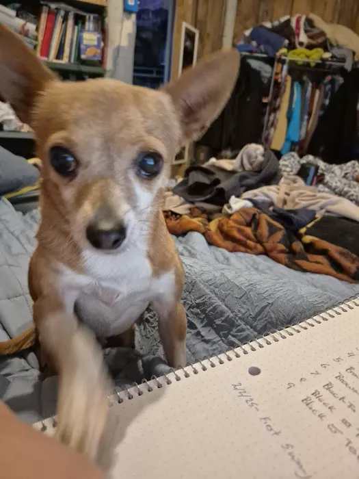 Bluebonnet Animal Clinic Inc Picture 6