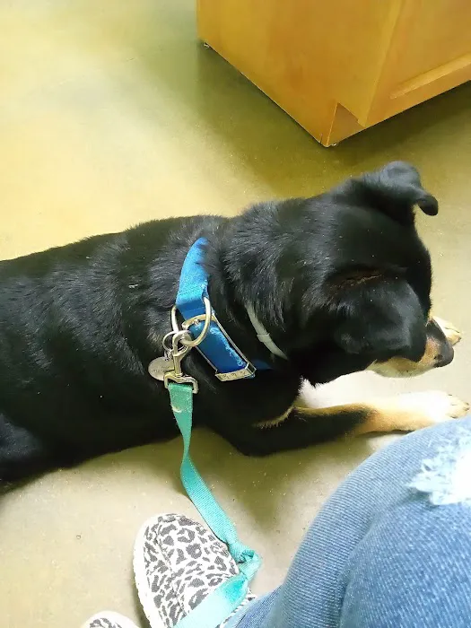 Bluebonnet Animal Clinic Inc Picture 7