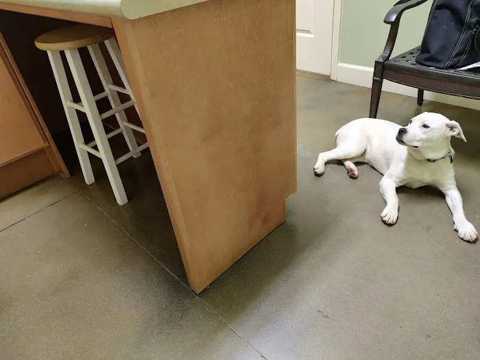 Bluebonnet Animal Clinic Inc Picture 4