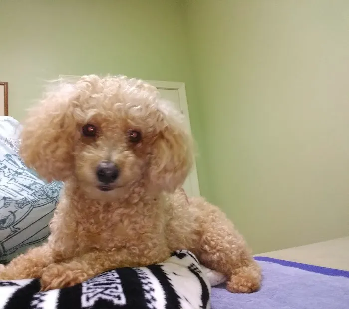 Bluebonnet Animal Clinic Inc Picture 9