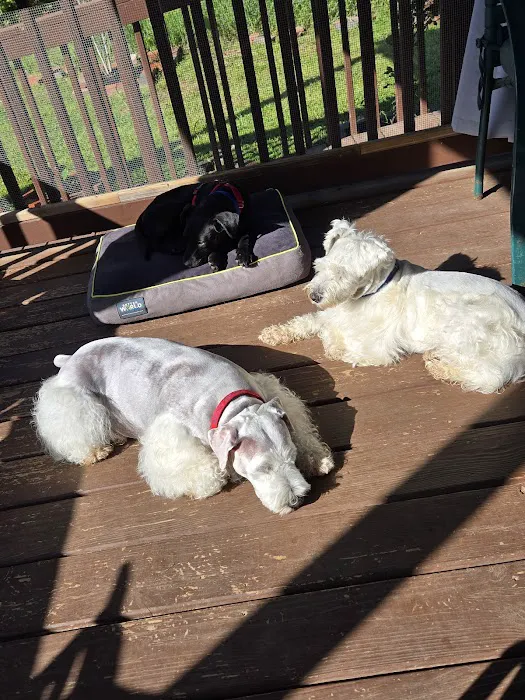 Pelham Animal Clinic Picture 3