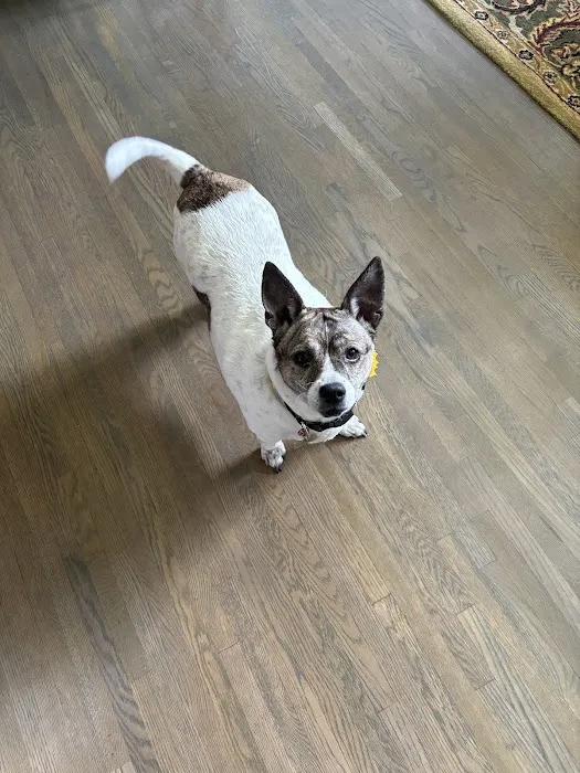 North Shelby County Animal Hospital Picture 1