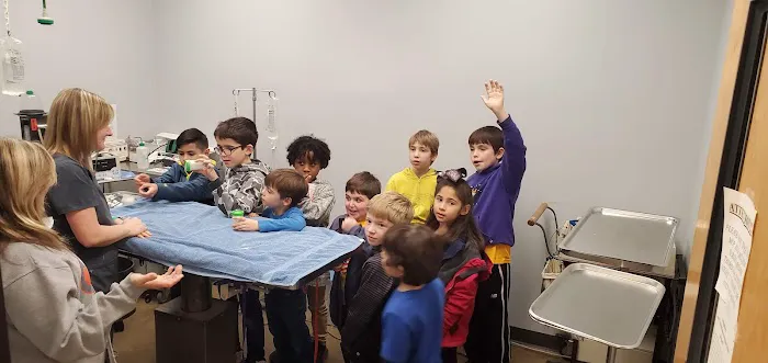 North Shelby County Animal Hospital Picture 3