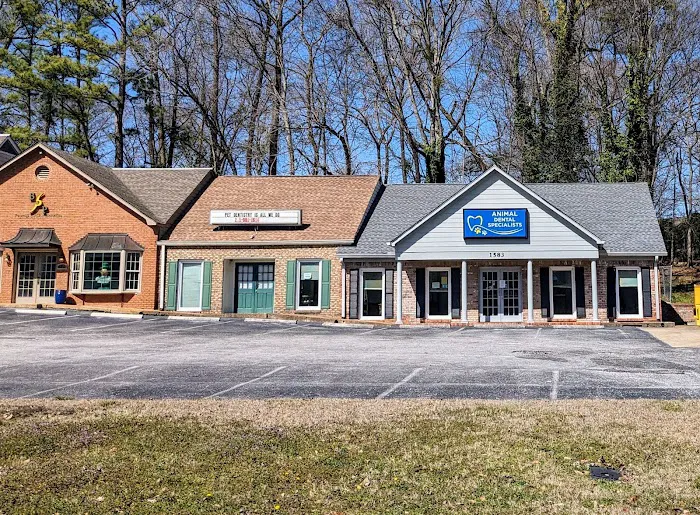 Animal Dental Specialists Picture 5