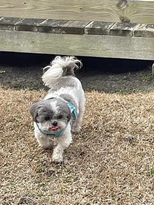 Oak View Animal Hospital Picture 5