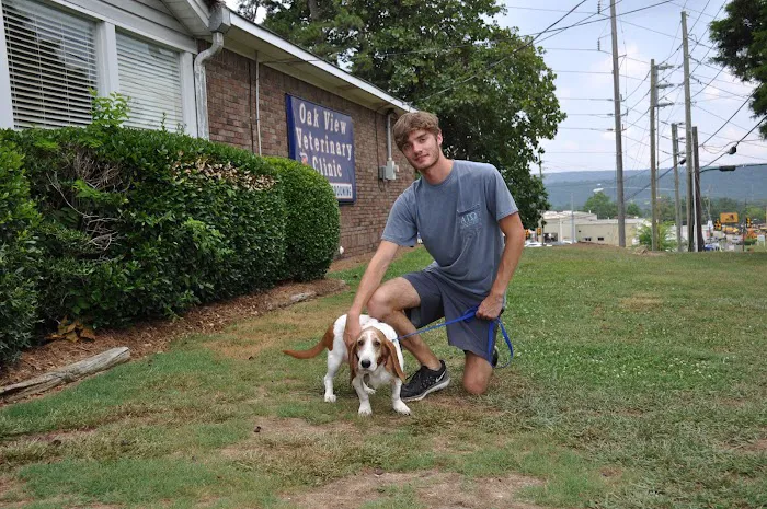 Oak View Animal Hospital Picture 6