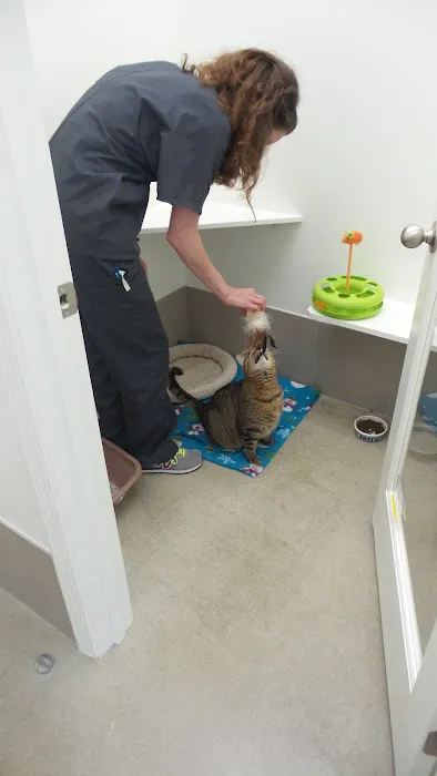 Holmes Feline Clinic Picture 7