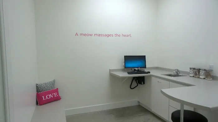 Holmes Feline Clinic Picture 6