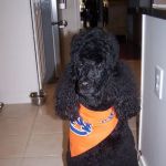 Altadena Valley Animal Clinic