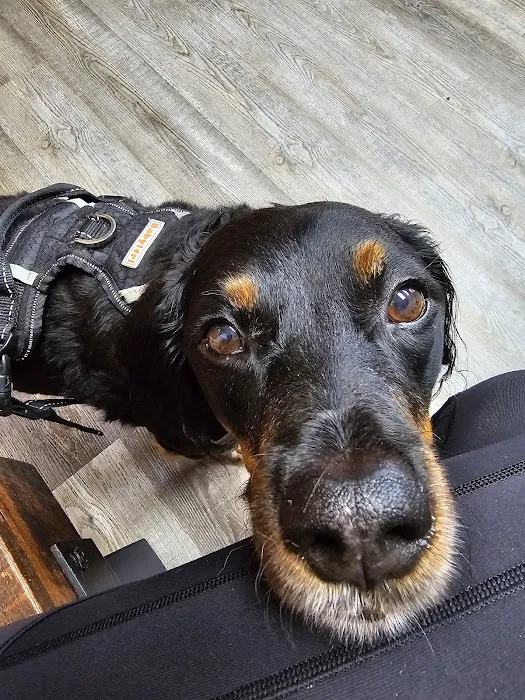 Altadena Valley Animal Clinic Picture 9