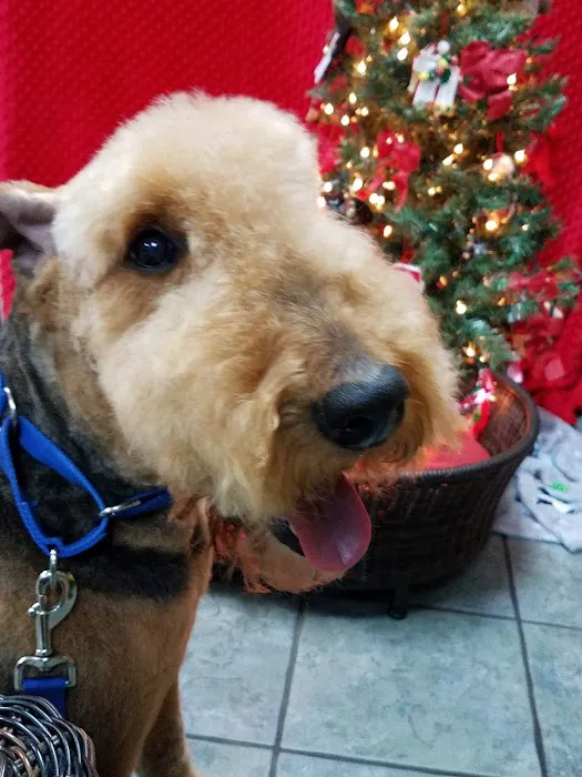 Altadena Valley Animal Clinic Picture 5