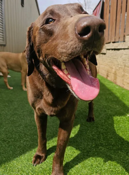 Advanced Veterinary Care of Vestavia Picture 10