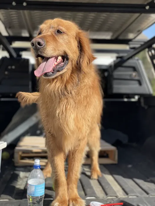 easyvet Veterinarian Liberty Park Picture 2