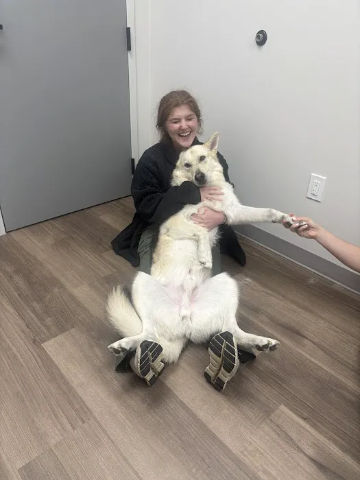 Parkside Pet Hospital Picture 4