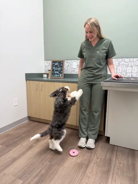 Parkside Pet Hospital Picture 8