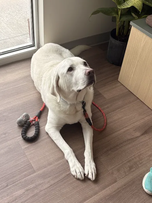 Parkside Pet Hospital Picture 9