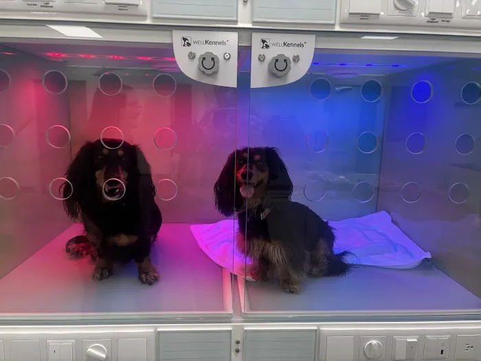 Parkside Pet Hospital Picture 7