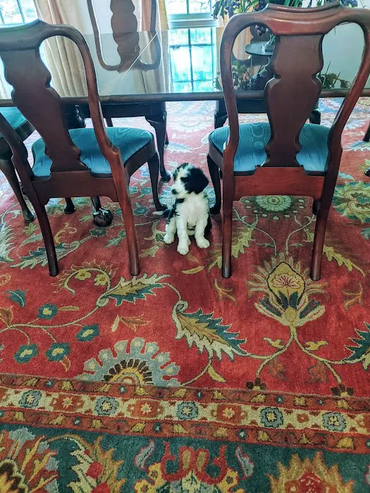 Cahaba Mountain Brook Animal Clinic Picture 2