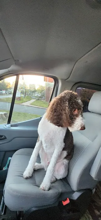 Cahaba Mountain Brook Animal Clinic Picture 3