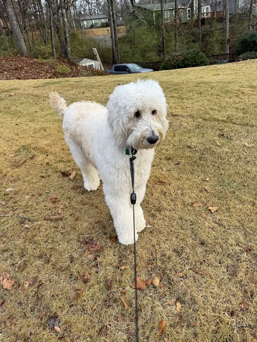 Cahaba Mountain Brook Animal Clinic Picture 8
