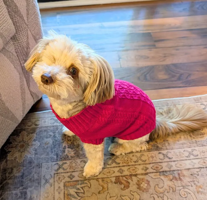 Cahaba Mountain Brook Animal Clinic Picture 10