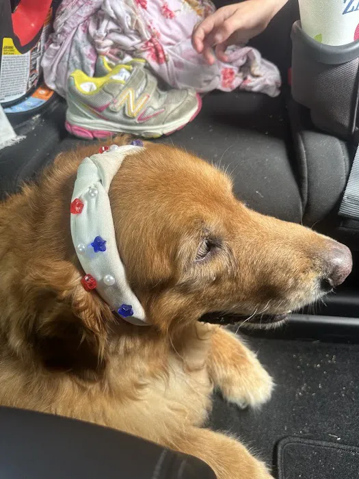 Britt Animal Hospital Picture 2