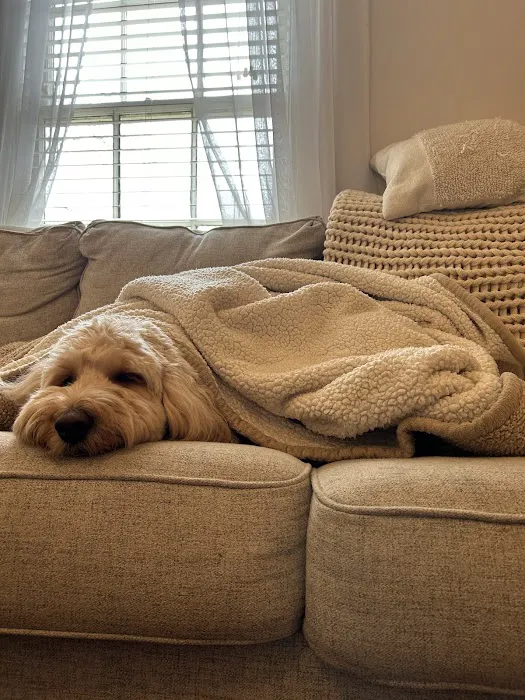 Britt Animal Hospital Picture 1