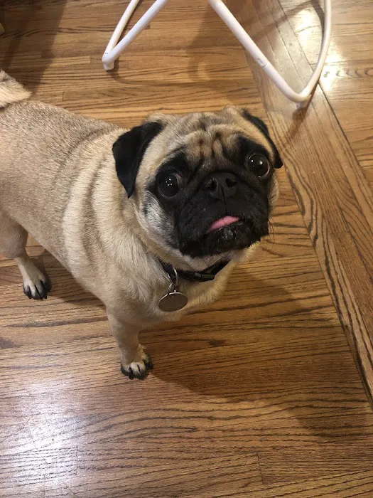 Britt Animal Hospital Picture 3