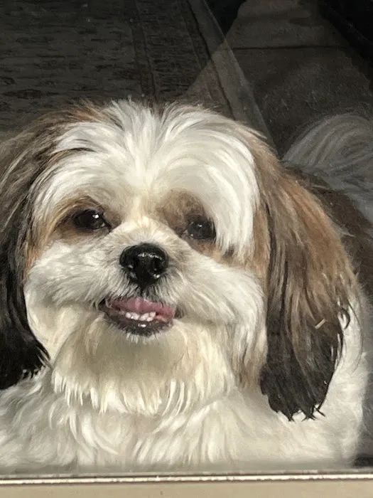 Britt Animal Hospital Picture 7