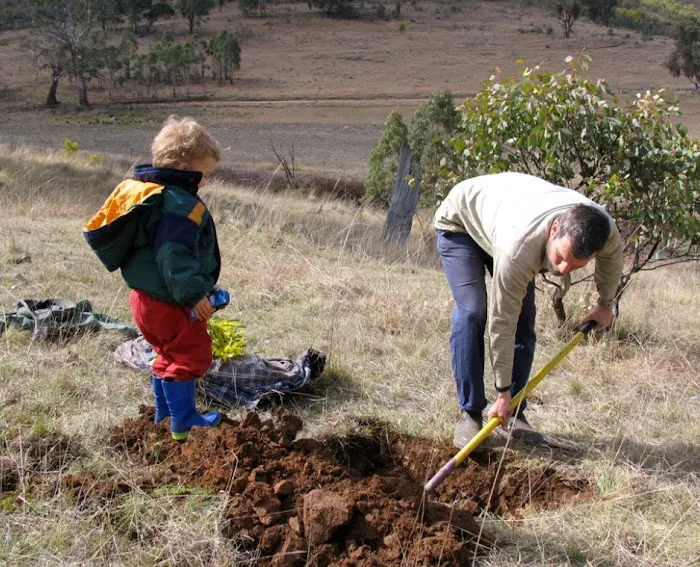 Britt Animal Hospital Picture 4