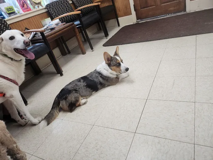 Alford Avenue Veterinary Hospital Picture 2