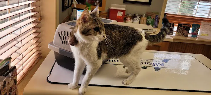 Alford Avenue Veterinary Hospital Picture 3