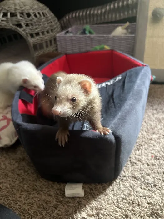 Alford Avenue Veterinary Hospital Picture 7