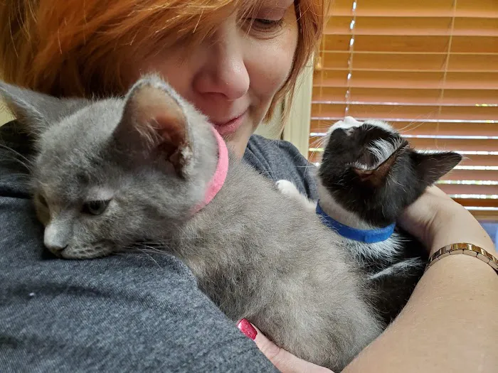 Alford Avenue Veterinary Hospital Picture 6