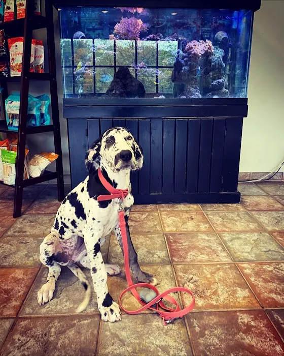 Pet Wellness Animal Hospital & Center Picture 6