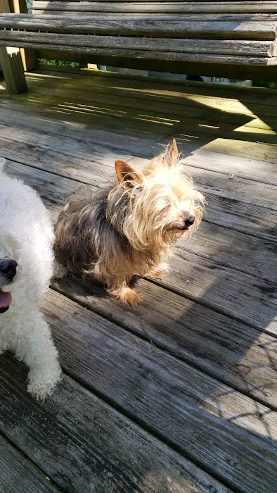 Bluff Park Animal Clinic Picture 4