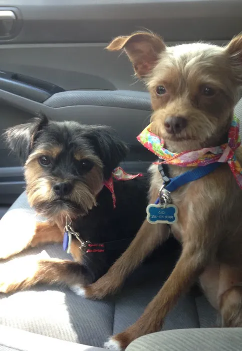 Bluff Park Animal Clinic Picture 5